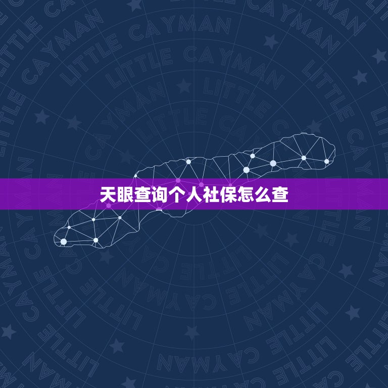 天眼查询个人社保怎么查，天眼查里发现该单位只有一人参保，该单位有问题吗