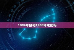 1984年鼠和1988年龙配吗(十二生肖配对介绍)