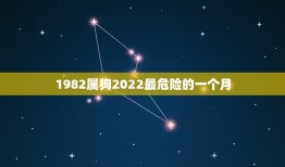 1982属狗2022最危险的一个月，1982属狗的人一生命运如何198