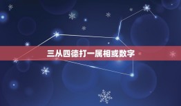 三从四德打一属相或数字，三从四德人尊敬指数字或生肖