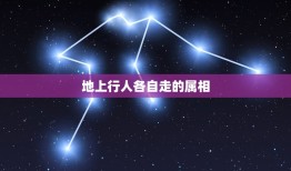 地上行人各自走的属相，方传四德与三从，解得三六与四三，猴上鸡下各高赛，