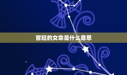 官旺的女命是什么意思，女命财旺代表什么