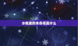 水瓶座的本命花是什么(介绍水瓶座的花语与性格特征)