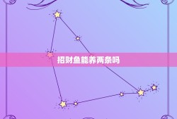 招财鱼能养两条吗，招财猫鱼可以养两条吗？有什么说法