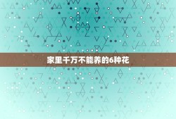 家里千万不能养的6种花，卧室里千万不能养的6种花是什么？