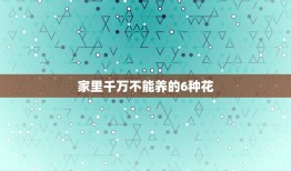 家里千万不能养的6种花，卧室里千万不能养的6种花是什么？