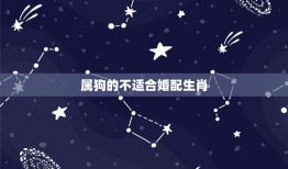 属狗的适合婚配生肖吗(介绍狗与哪些生肖配对)