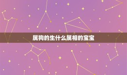 属狗的生什么属相的宝宝，女的属狗的和什么属相最合适