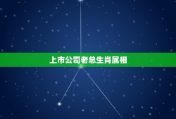 上市公司老总生肖属相，中国主要领导生肖表