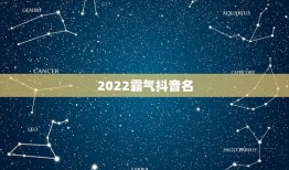 2022霸气抖音名，2021霸气抖音名