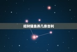 招财猫鱼养几条吉利，一个水族箱里可以养两条招财猫鱼吗？