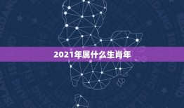 2021年属什么生肖年，生虎宝宝好不好2022年