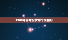 1988年男龙配女哪个属相好，1988年2月21男龙配什么属相女最合适