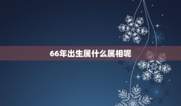 66年出生属什么属相呢，1966年出生的人属什么