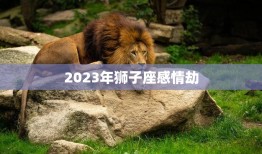 2023年狮子座感情劫(如何应对)