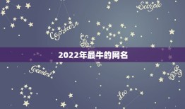 2022年最牛的网名，2023最酷网名