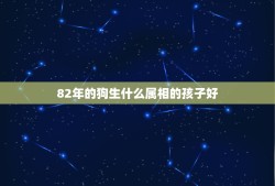 82年的狗生什么属相的孩子好，男83年猪，女82年狗，生什么属相的宝宝