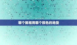 哪个属相用哪个颜色的地垫，车内饰是黑色的用什么颜色脚垫好看