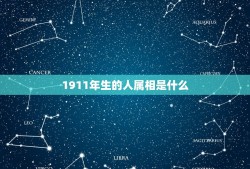 1911年生的人属相是什么，1911年所对应的干支和生肖分别是