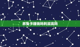 养兔子赚钱吗利润高吗(养兔子的利润分析)