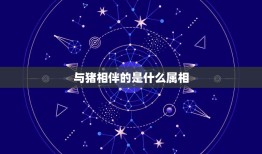 与猪相伴的是什么属相，属猪和属什么属相的人合得来