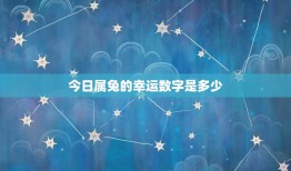 属兔今日幸运数字查询(掌握今日运势把握好运)