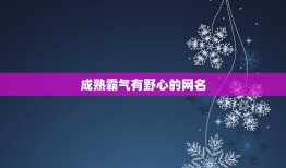 成熟霸气有野心的网名，有气魄有野心的网名