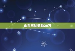 山东三胎奖励20万，山东省三胎政策最新消息2022