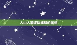 人山人海逐队成群的属相，人山人海打一生肖