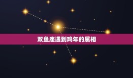 双鱼座遇到鸡年的属相，生肖鸡的双鱼座和什么生肖星座最配