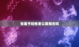 张馨予和他老公属相合吗，杨紫的丈夫是谁