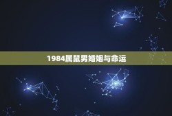 1984属鼠男婚姻与命运，84年属鼠人婚姻如何