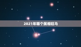 2021年哪个属相旺马，什么属相旺马