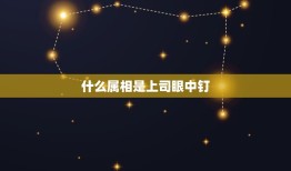 什么属相是上司眼中钉，什么是眼中钉，什么是肉中刺，