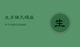 生肖猪天蝎座今日运势(20240607)