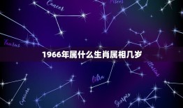 1966年属什么生肖属相几岁，1966年出生的属什么星座和什么生肖