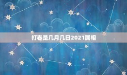 打春是几月几日2021属相，2021年打春是几月几号几点几分