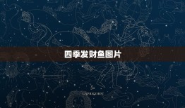 四季发财鱼图片(第1页)，我家发财鱼身上，尾巴上长白点，一动不动！怎