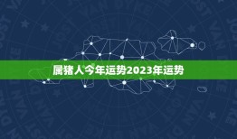 属猪人今年运势2023年运势