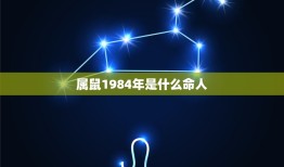 属鼠1984年是什么命人，1984年属鼠五行属什么命