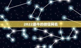 2022最牛的微信网名，2022年微信名最霸气的