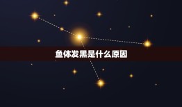 鱼体发黑是什么原因，鱼体的身上发黑怎么办