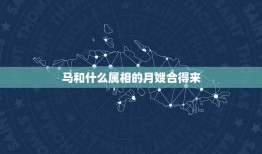 马和什么属相的月嫂合得来，属马的和什么属相的合作好