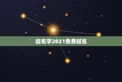 起名字2021免费起名，2021男孩名字洋气