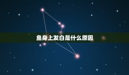 鱼身上发白是什么原因，鱼身上发白点是什么病？