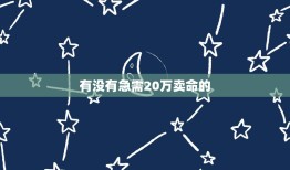 有没有急需20万卖命的，有没有大老板 求求你了，救救命吧，急需20万，