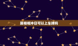 属相相冲日可以上车牌吗，买车和自己属相相冲的日子怎么破