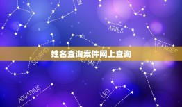 姓名查询案件网上查询，个人案件网上查询2023案号沪0117民初882