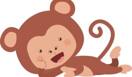 04年10月猴是什么命(解析属猴人的性格特点和命运趋势)