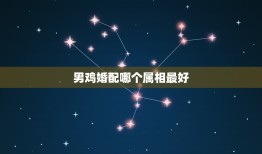 男鸡婚配哪个属相(介绍配偶属相大介绍)